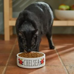 Frisco Flower Ceramic Personalized Dog Bowl -Ultimate Pet Shop 286985 PT3. AC SS1800 V1625764702