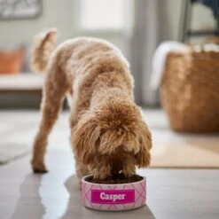 Frisco Personalized Plaid Ceramic Dog Bowl -Ultimate Pet Shop 287013 PT4. AC SS1800 V1639518088