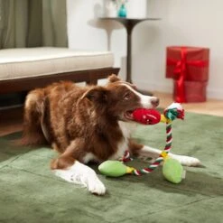 Frisco Holiday Lights Plush With Rope Squeaky Dog Toy 7 Frisco Holiday Lights Plush With Rope Squeaky Dog Toy -Ultimate Pet Shop 287109 PT3. AC SS1800 V1632775707