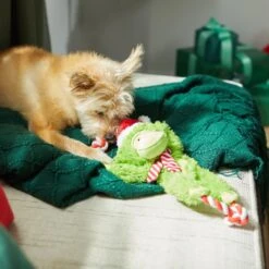 Frisco Holiday Monkey Plush With Rope Squeaky Dog Toy -Ultimate Pet Shop 287115 PT3. AC SS1800 V1632774182