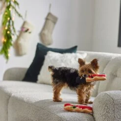 Frisco Holiday Bacon Plush Squeaky Dog Toy, 2 Count -Ultimate Pet Shop 287143 PT3. AC SS1800 V1632774888