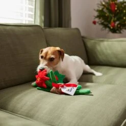 Frisco Flower Bouquet Plush Squeaky Dog Toy -Ultimate Pet Shop 287163 PT3. AC SS1800 V1632776821