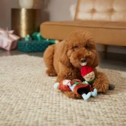 Frisco Holiday Carolers Plush Squeaky Dog Toy, 3 Count -Ultimate Pet Shop 287169 PT3. AC SS1800 V1632774907