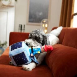 Frisco Nutcracker-in-a-Box Plush Squeaky Dog Toy -Ultimate Pet Shop 287173 PT3. AC SS1800 V1632773316