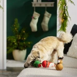 Frisco Holiday Santa & Friends Latex Squeaky Dog Toy -Ultimate Pet Shop 287181 PT3. AC SS1800 V1632775363