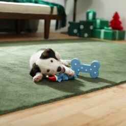 Frisco Blue Bundle Latex Squeaky Puppy Toy, 2 Count -Ultimate Pet Shop 287185 PT3. AC SS1800 V1632775643