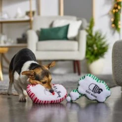 Frisco Holiday Thought Bubble Plush Squeaky Dog Toy, 2 Count 5 Frisco Holiday Thought Bubble Plush Squeaky Dog Toy, 2 Count -Ultimate Pet Shop 287195 PT3. AC SS1800 V1632772983