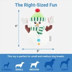 Frisco Holiday Naughty Or Nice Snowman Reversible Plush Squeaky Dog Toy -Ultimate Pet Shop 287219 PT2. AC SS1800 V1637704003