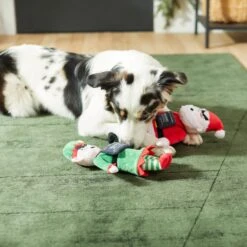 Frisco Holiday Bad Santa & Elf Plush Squeaky Dog Toy -Ultimate Pet Shop 287223 PT3. AC SS1800 V1632773570
