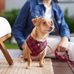 Frisco Fashion Over-The-Head Harness, Blue Plaid 9 Frisco Fashion Over-The-Head Harness, Blue Plaid -Ultimate Pet Shop 287472 PT8. AC SS1800 V1632316407