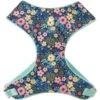 Frisco Fashion Over-The-Head Harness, Tropical Floral