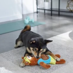 Frisco Fitness Bear Reversible Plush Squeaky Dog Toy -Ultimate Pet Shop 288897 PT3. AC SS1800 V1638291713