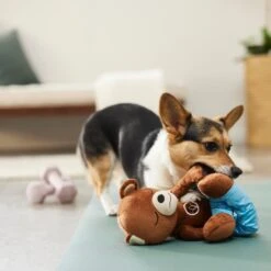 Frisco Yoga Bear Plush Squeaky Dog Toy -Ultimate Pet Shop 288903 PT3. AC SS1800 V1638288516