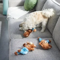 Frisco New Year, New Me Namaste Bear Plush Squeaky Dog Toy -Ultimate Pet Shop 288905 PT3. AC SS1800 V1638291398