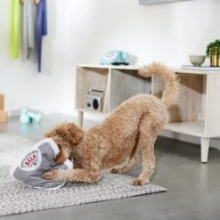 Frisco Scale Plush Squeaky Dog Toy -Ultimate Pet Shop 288911 PT3. AC SS1800 V1638289585