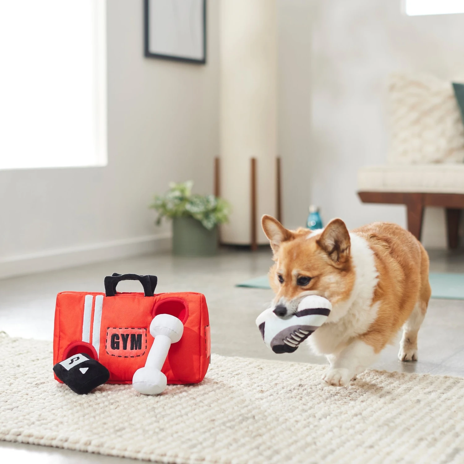 Frisco Gym Bag Hide & Seek Puzzle Plush Squeaky Dog Toy 3 Frisco Gym Bag Hide & Seek Puzzle Plush Squeaky Dog Toy - Image 3