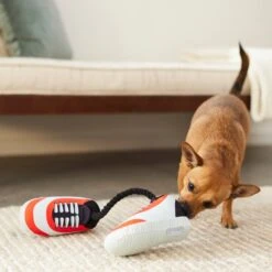 Frisco Running Shoes Plush With Rope Dog Toy -Ultimate Pet Shop 288915 PT3. AC SS1800 V1638292478