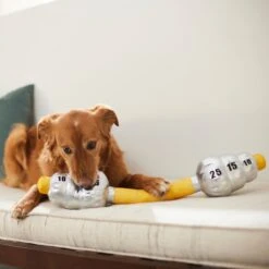 Frisco Weight Bar Wagazoo Plush Squeaky Dog Toy 5 Frisco Weight Bar Wagazoo Plush Squeaky Dog Toy -Ultimate Pet Shop 288917 PT3. AC SS1800 V1638292413