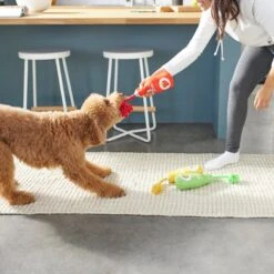 Frisco New Year, New Me Juice Cleanse Plush Squeaky Dog Toy -Ultimate Pet Shop 288929 PT3. AC SS1800 V1638289348