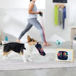 Frisco TV & VHS Tape Plush Squeaky Dog Toy, 2 Count -Ultimate Pet Shop 288935 PT3. AC SS1800 V1638291435