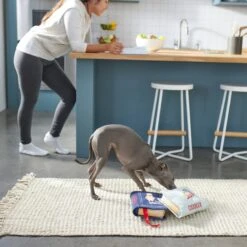 Frisco Cookbooks Plush Squeaky Dog Toy, 2 Count -Ultimate Pet Shop 288937 PT3. AC SS1800 V1638287852