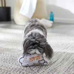 Frisco Message Bubble Plush Squeaky Dog Toy -Ultimate Pet Shop 288941 PT3. AC SS1800 V1638289328