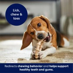 Frisco Ring Tough Nylon Chew Dog Toy, Chicken Flavor -Ultimate Pet Shop 290533 PT4. AC SS1800 V1695760990