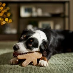 Frisco Nylon Gingerbread Dog Chew Toy, Beef Flavor, Medium -Ultimate Pet Shop 291385 PT3. AC SS1800 V1668108316