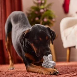Frisco Holiday Nylon Snowflake Dog Chew Toy, Peanut Butter Flavor, Medium -Ultimate Pet Shop 291387 PT3. AC SS1800 V1629306692