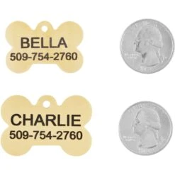 Frisco Brass Personalized Dog ID Tag -Ultimate Pet Shop 296191 PT5. AC SS1800 V1628186578