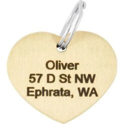 Frisco Brass Personalized Dog & Cat ID Tag, Heart -Ultimate Pet Shop 296197 PT4. AC SS1800 V1628186527