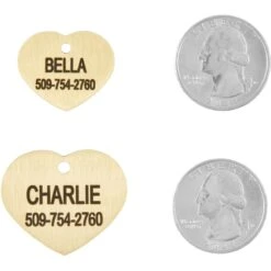 Frisco Brass Personalized Dog & Cat ID Tag, Heart -Ultimate Pet Shop 296197 PT5. AC SS1800 V1628186498