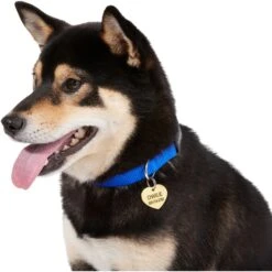 Frisco Brass Personalized Dog & Cat ID Tag, Heart -Ultimate Pet Shop 296197 PT6. AC SS1800 V1628186493