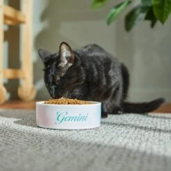 Frisco Watercolors Ceramic Personalized Dog Bowl -Ultimate Pet Shop 296664 PT3. AC SS1800 V1625764646