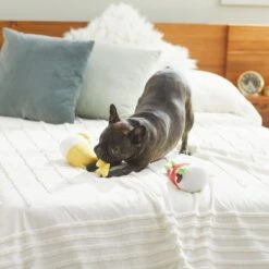 Frisco Brunch Bottomless Mimosas Plush Squeaky Dog Toy, 2 Count -Ultimate Pet Shop 297226 PT2. AC SS1800 V1642088368