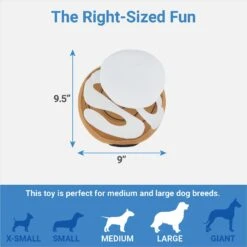 Frisco Brunch Cinnamon Roll Jumbo Plush Squeaky Dog Toy -Ultimate Pet Shop 297260 PT1. AC SS1800 V1643916682