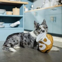 Frisco Brunch Cinnamon Roll Jumbo Plush Squeaky Dog Toy -Ultimate Pet Shop 297260 PT2. AC SS1800 V1642089012