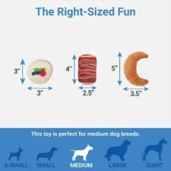 Frisco Brunch Pastry Plate Plush Squeaky Dog Toy -Ultimate Pet Shop 297262 PT2. AC SS1800 V1643916710