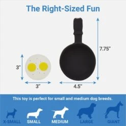 Frisco Brunch Breakfast Skillet Latex Squeaky Dog Toy, 2 Count -Ultimate Pet Shop 297264 PT1. AC SS1800 V1643916399