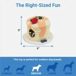 Frisco Brunch Pancake Hide & Seek Puzzle Plush Squeaky Dog Toy -Ultimate Pet Shop 297266 PT1. AC SS1800 V1643916383