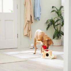 Frisco Brunch Pancake Hide & Seek Puzzle Plush Squeaky Dog Toy -Ultimate Pet Shop 297266 PT3. AC SS1800 V1642087986