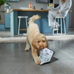 Frisco Brunch Menu Ballistic Nylon Flat Plush Squeaky Dog Toy -Ultimate Pet Shop 297276 PT2. AC SS1800 V1642088788