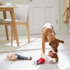 Frisco Brunch Chef & Waitress Plush Squeaky Dog Toy, 2 Count -Ultimate Pet Shop 297278 PT2. AC SS1800 V1642088629