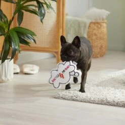 Frisco Brunch Word Bubble Plush Squeaky Dog Toy -Ultimate Pet Shop 297286 PT3. AC SS1800 V1642087915