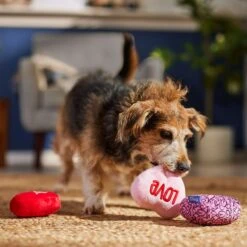 Frisco Valentine Hearts Plush Squeaky Dog Toy -Ultimate Pet Shop 298919 PT3. AC SS1800 V1701365170