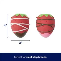Frisco Valentine Chocolate Covered Strawberries Latex Squeaky Dog Toy -Ultimate Pet Shop 298923 PT1. AC SS1800 V1701365172