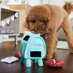 Frisco Valentine Love Letters Hide & Seek Puzzle Plush Squeaky Dog Toy -Ultimate Pet Shop 298929 PT3. AC SS1800 V1638987486