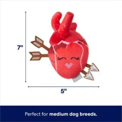 Frisco Valentine Anatomical Heart Plush Squeaky Dog Toy -Ultimate Pet Shop 298933 PT1. AC SS1800 V1701365188