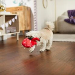 Frisco Valentine Anatomical Heart Plush Squeaky Dog Toy -Ultimate Pet Shop 298933 PT3. AC SS1800 V1638987632