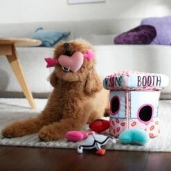 Frisco Valentine Kissing Booth Hide & Seek Puzzle Plush Squeaky Dog Toy -Ultimate Pet Shop 298943 PT3. AC SS1800 V1638987417